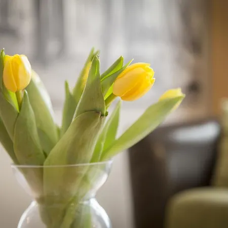 Lejlighed Saaresalu Center Pärnu